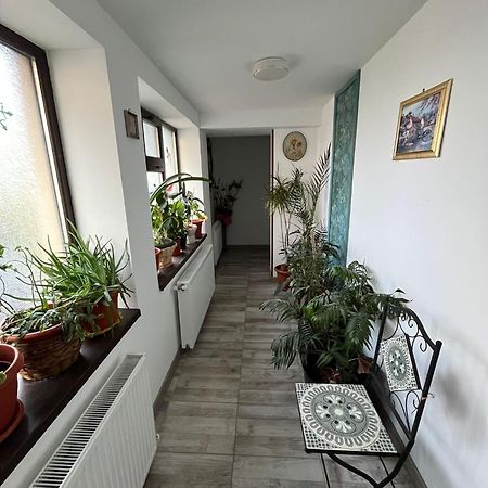Solaria Budget Studio Галац Екстер'єр фото
